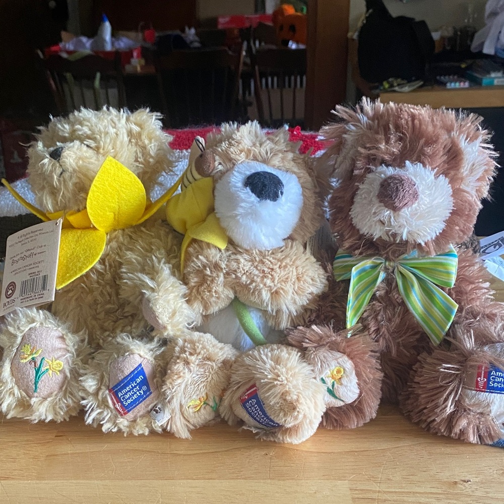 Boyd’s Bear American Cancer Society Daffodil special edition set of 3